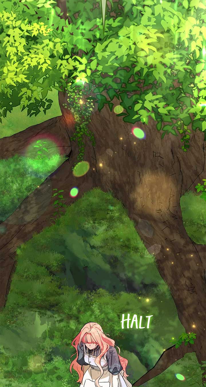 The Beloved Gardener of the World Tree Chapter 10 page 91