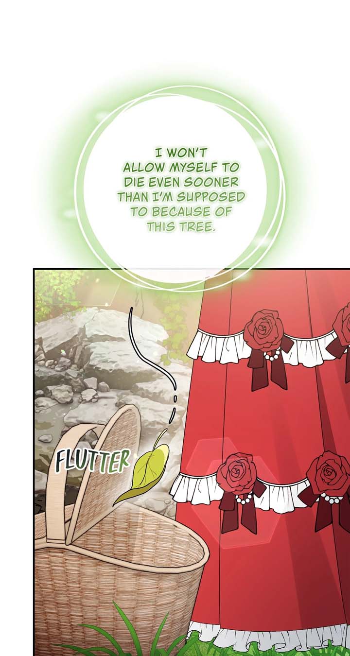 The Beloved Gardener of the World Tree Chapter 3 page 75