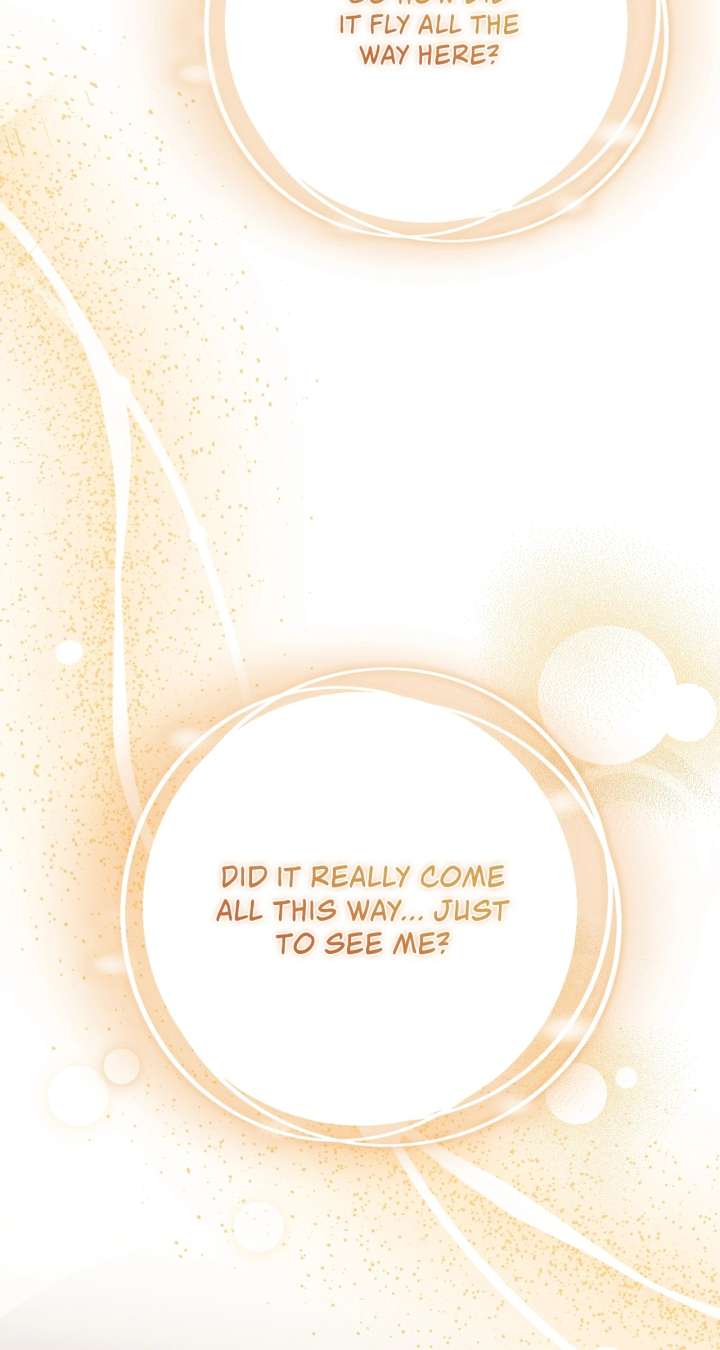 The Beloved Gardener of the World Tree Chapter 13 page 12