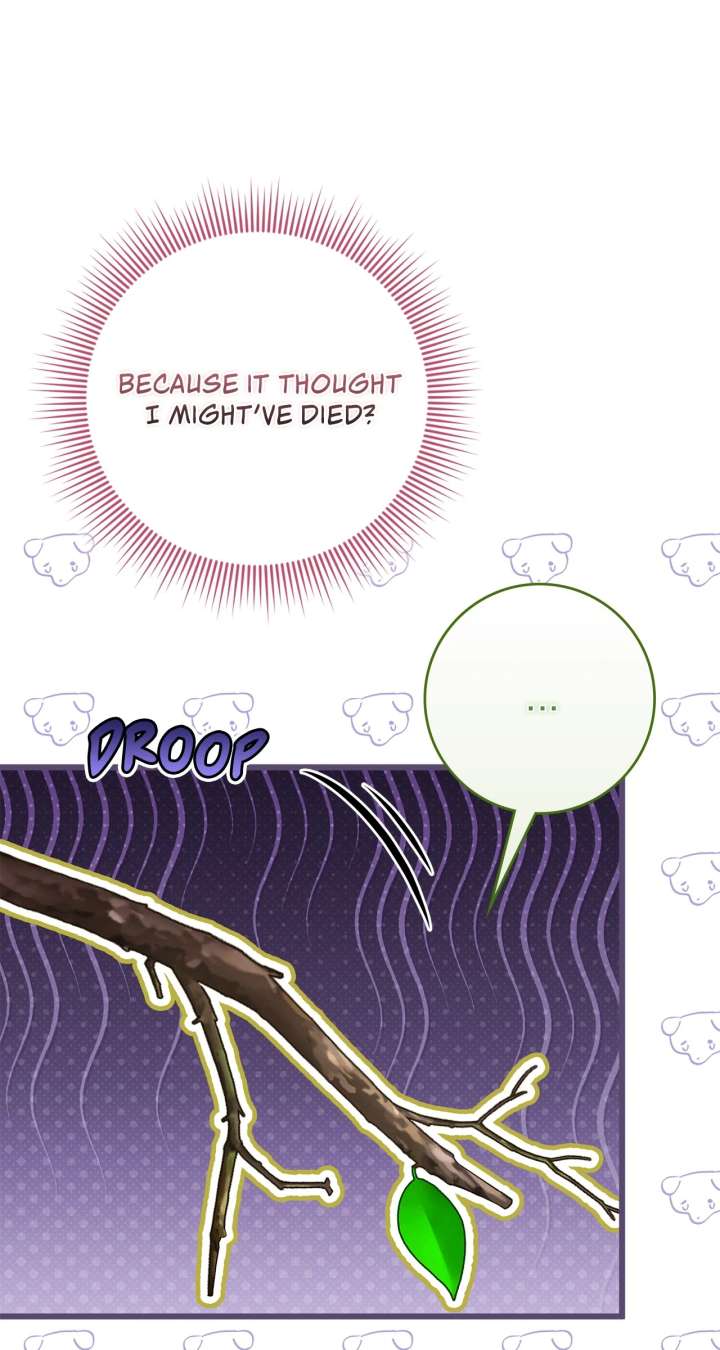 The Beloved Gardener of the World Tree Chapter 17 page 84