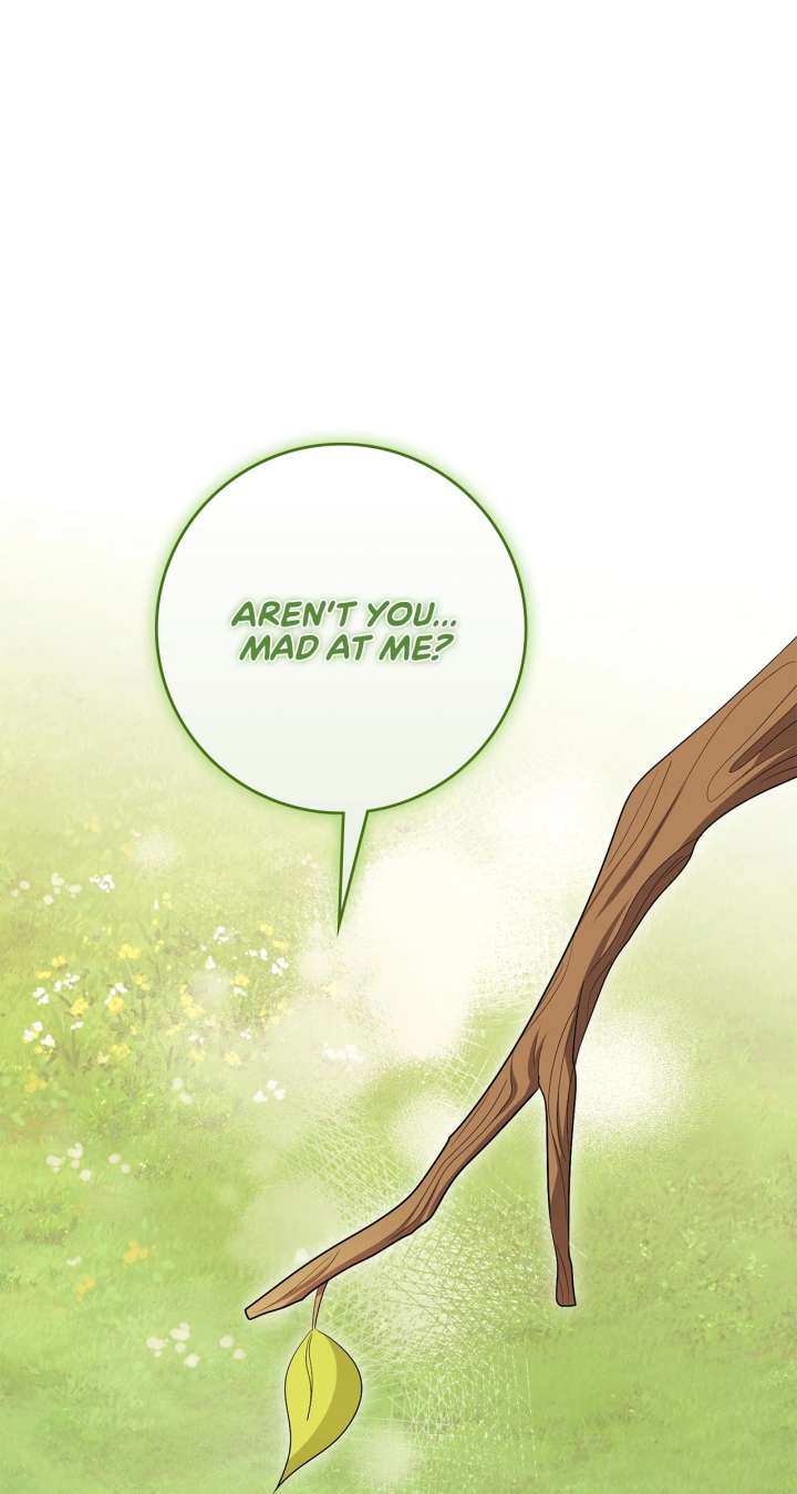 The Beloved Gardener of the World Tree Chapter 17 page 87