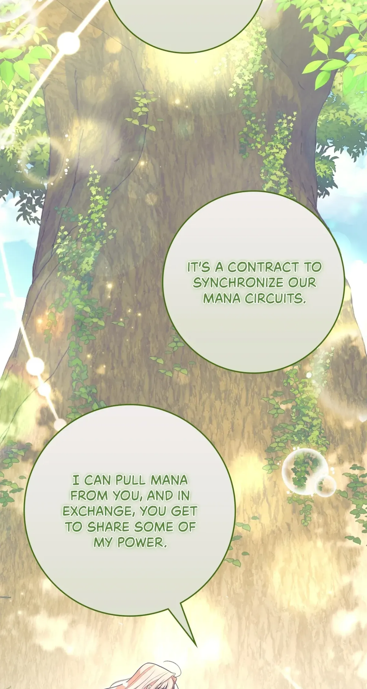 The Beloved Gardener of the World Tree Chapter 39 page 45