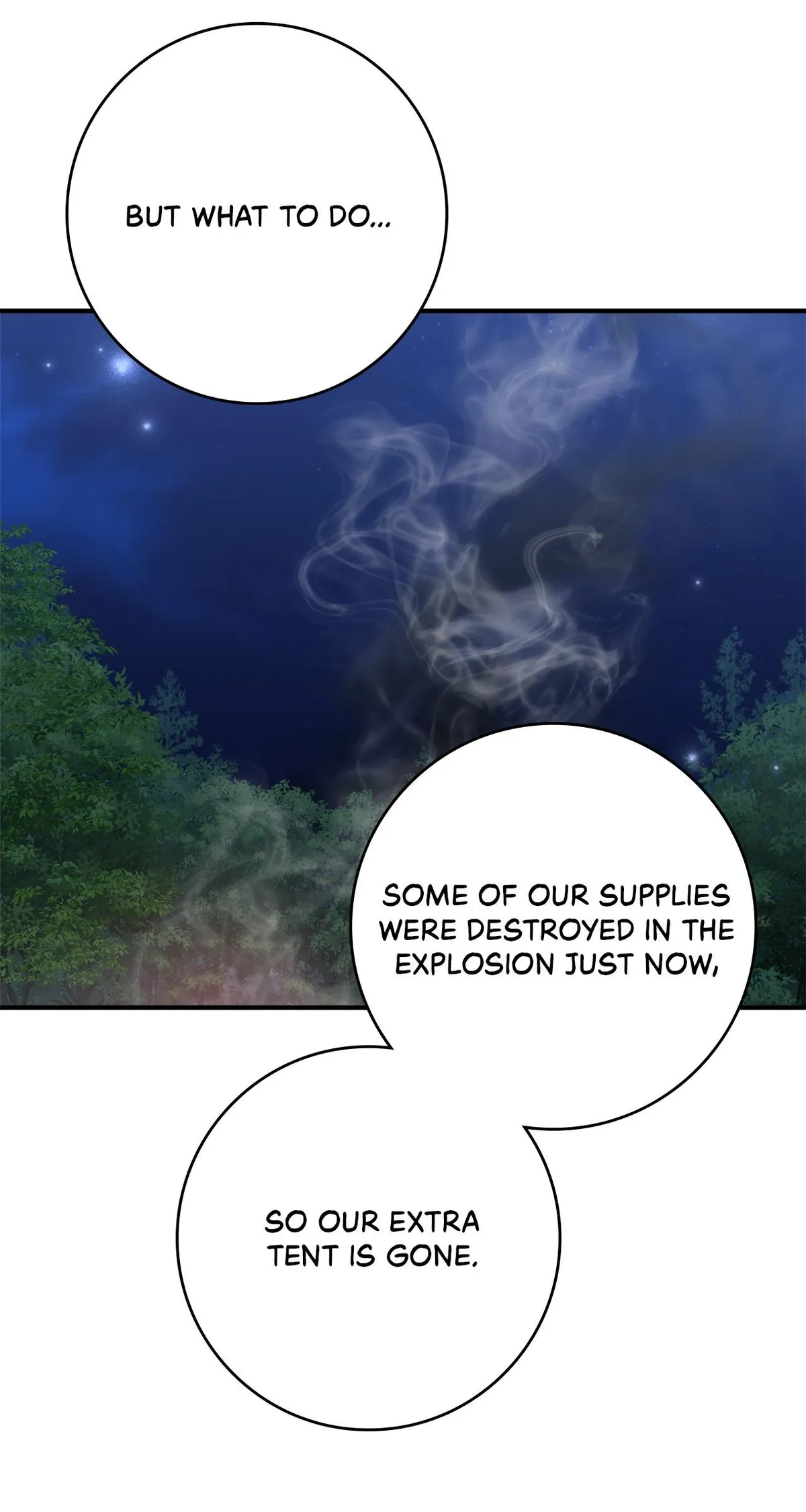 The Beloved Gardener of the World Tree Chapter 34 page 29