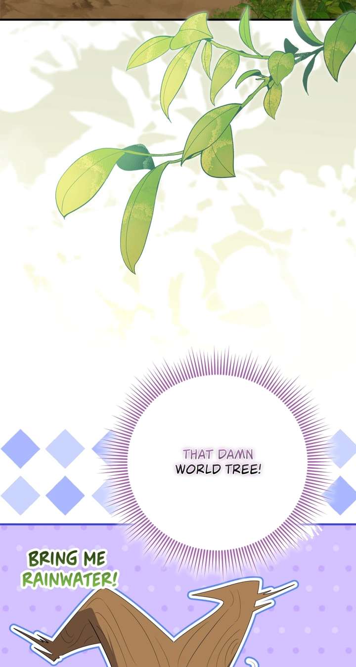 The Beloved Gardener of the World Tree Chapter 15 page 3