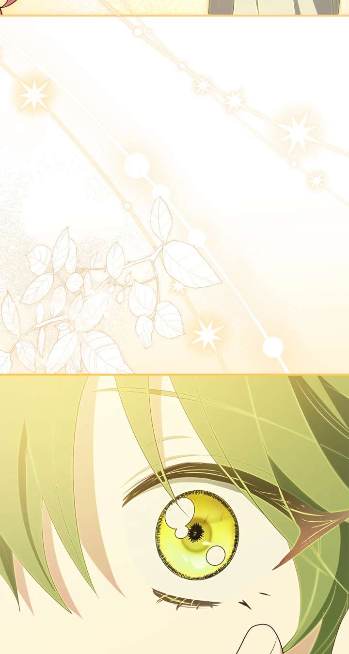 The Beloved Gardener of the World Tree Chapter 25 page 88