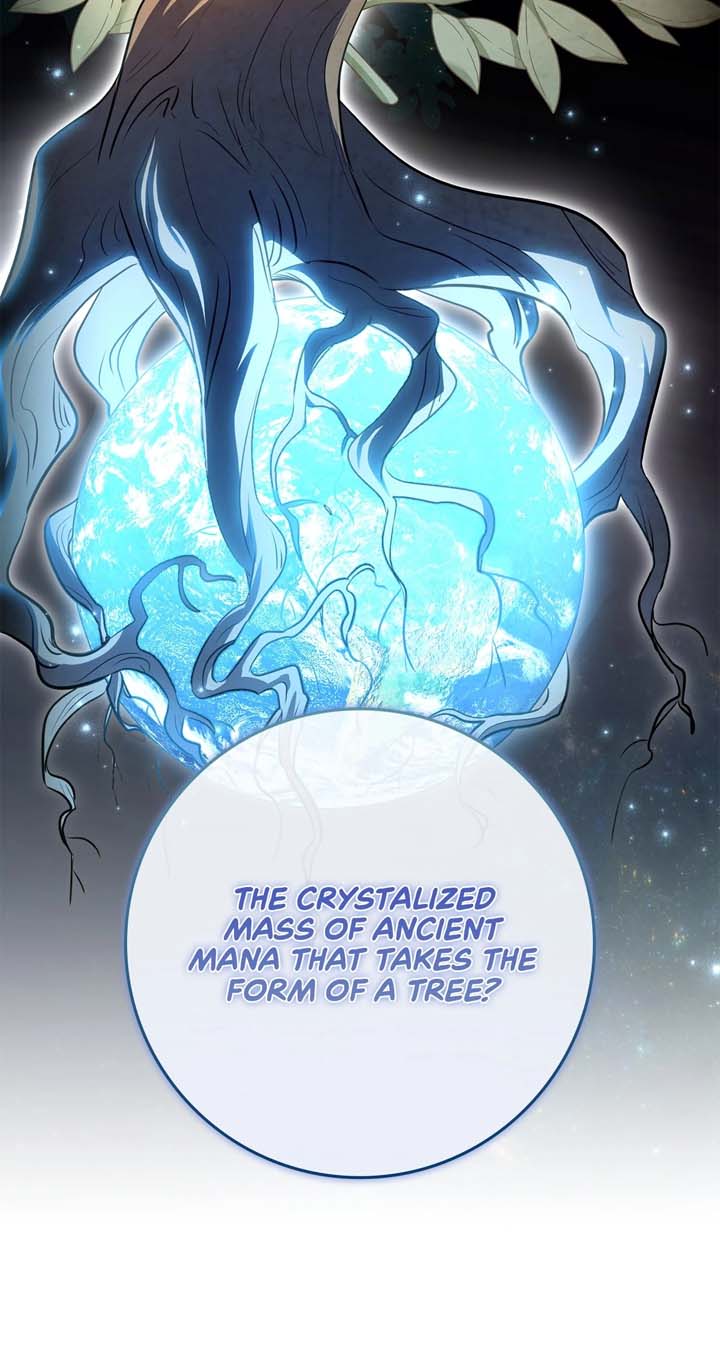 The Beloved Gardener of the World Tree Chapter 2 page 81
