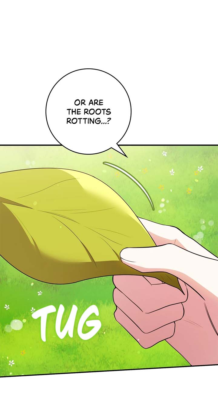 The Beloved Gardener of the World Tree Chapter 2 page 112