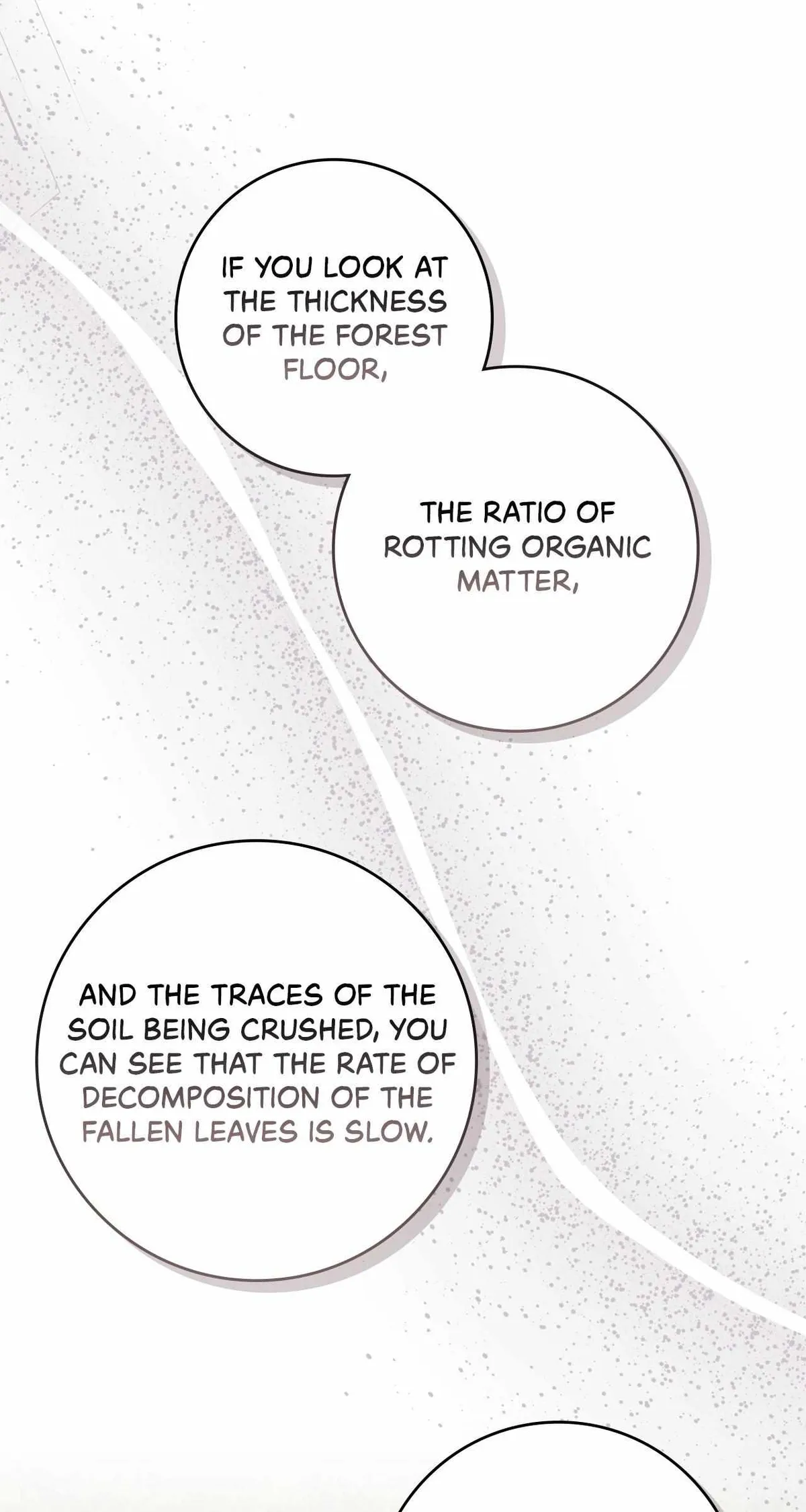 The Beloved Gardener of the World Tree Chapter 36 page 53