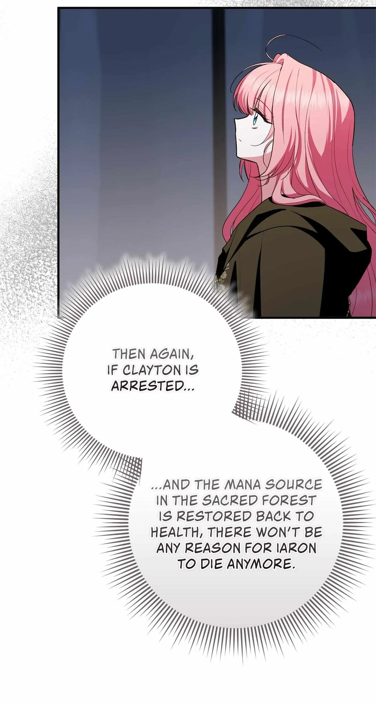 The Beloved Gardener of the World Tree Chapter 33 page 77