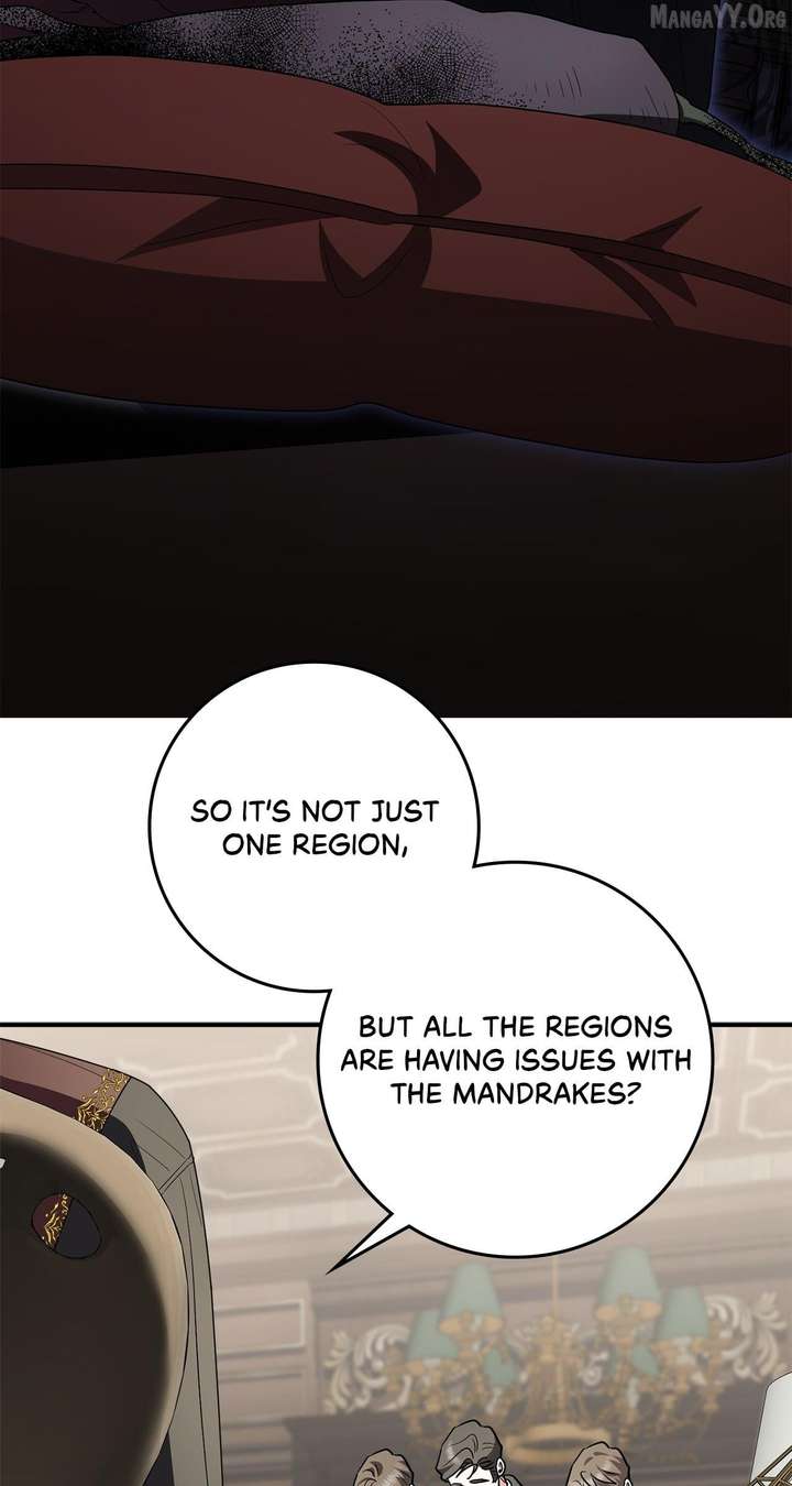 The Beloved Gardener of the World Tree Chapter 24 page 5