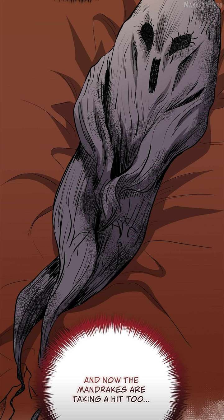 The Beloved Gardener of the World Tree Chapter 24 page 9