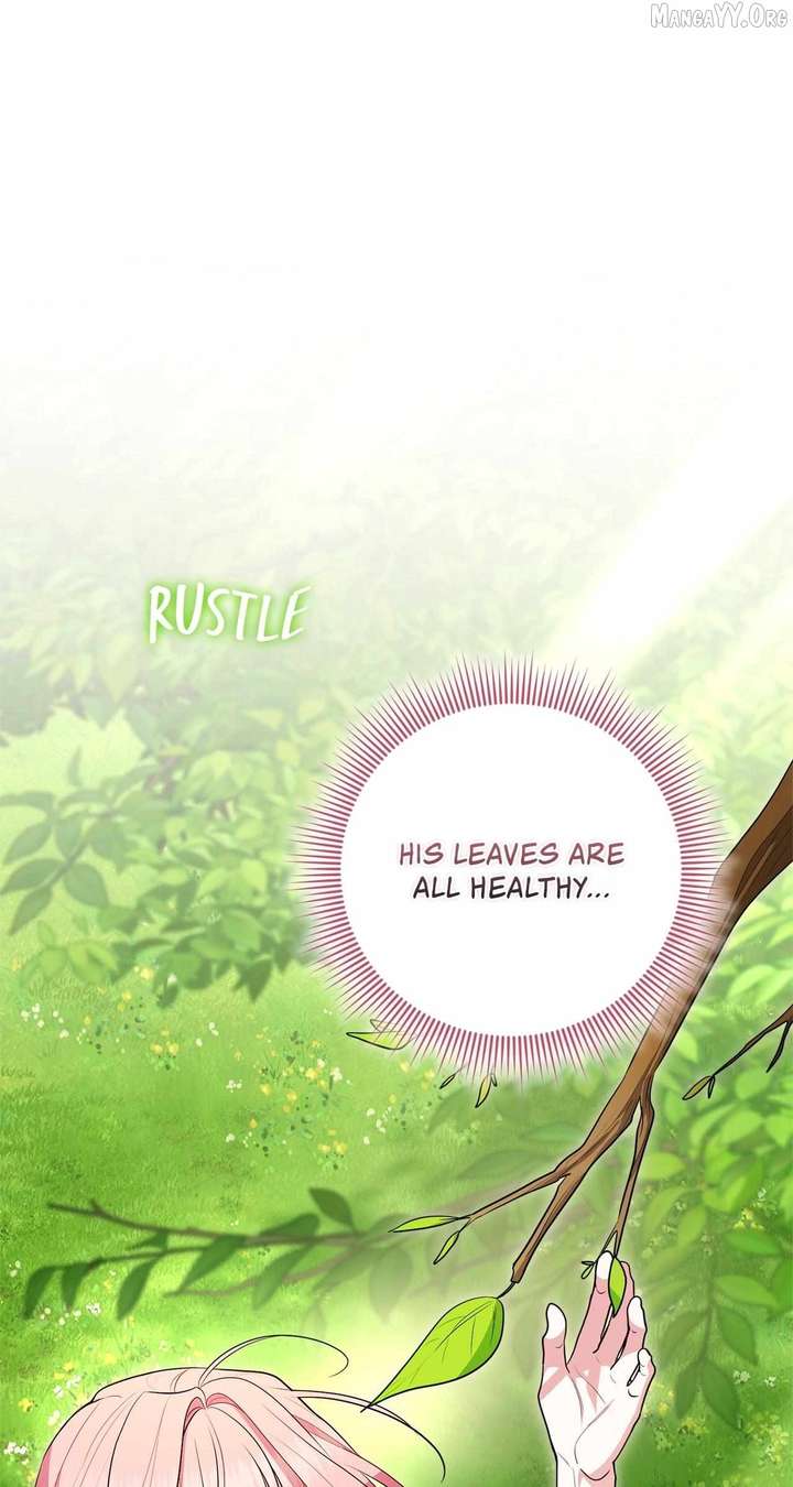 The Beloved Gardener of the World Tree Chapter 30 page 17