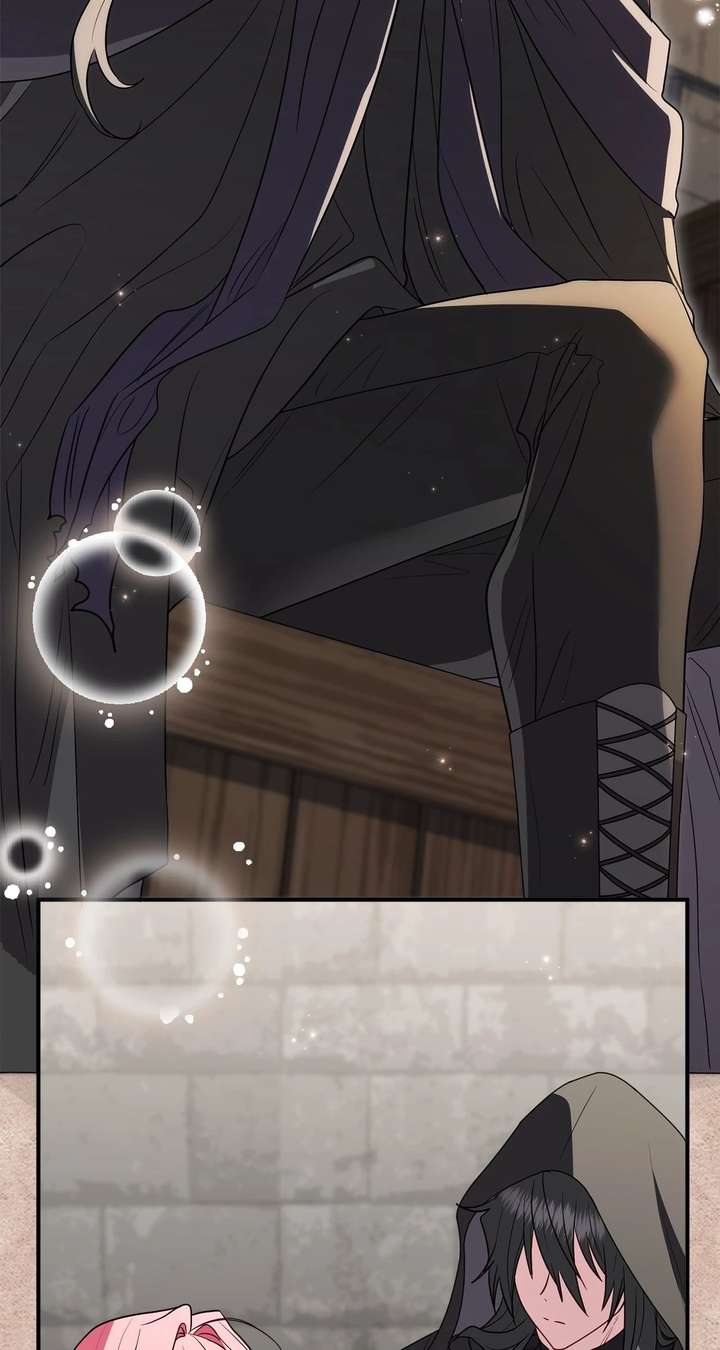 The Beloved Gardener of the World Tree Chapter 26 page 95