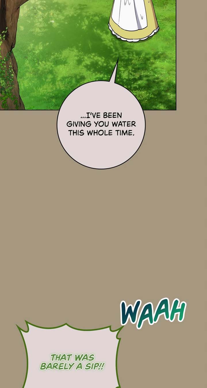 The Beloved Gardener of the World Tree Chapter 7 page 12