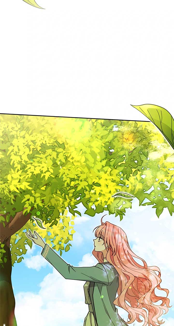The Beloved Gardener of the World Tree Chapter 1 page 3