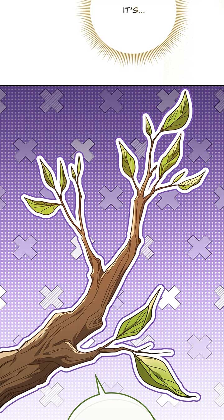 The Beloved Gardener of the World Tree Chapter 1 page 9