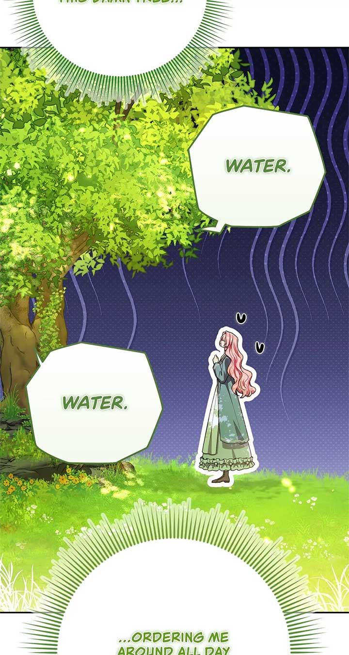 The Beloved Gardener of the World Tree Chapter 1 page 12