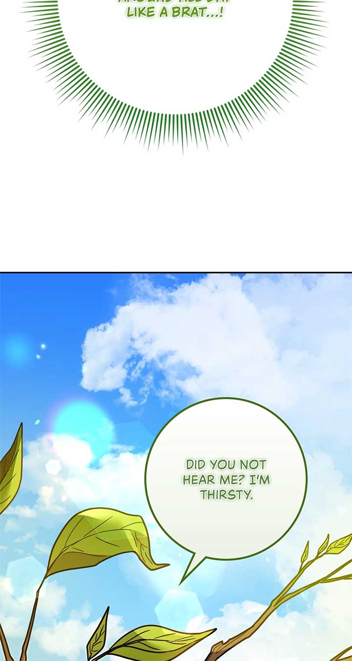 The Beloved Gardener of the World Tree Chapter 1 page 13