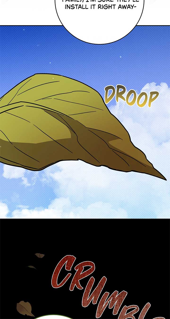 The Beloved Gardener of the World Tree Chapter 1 page 19