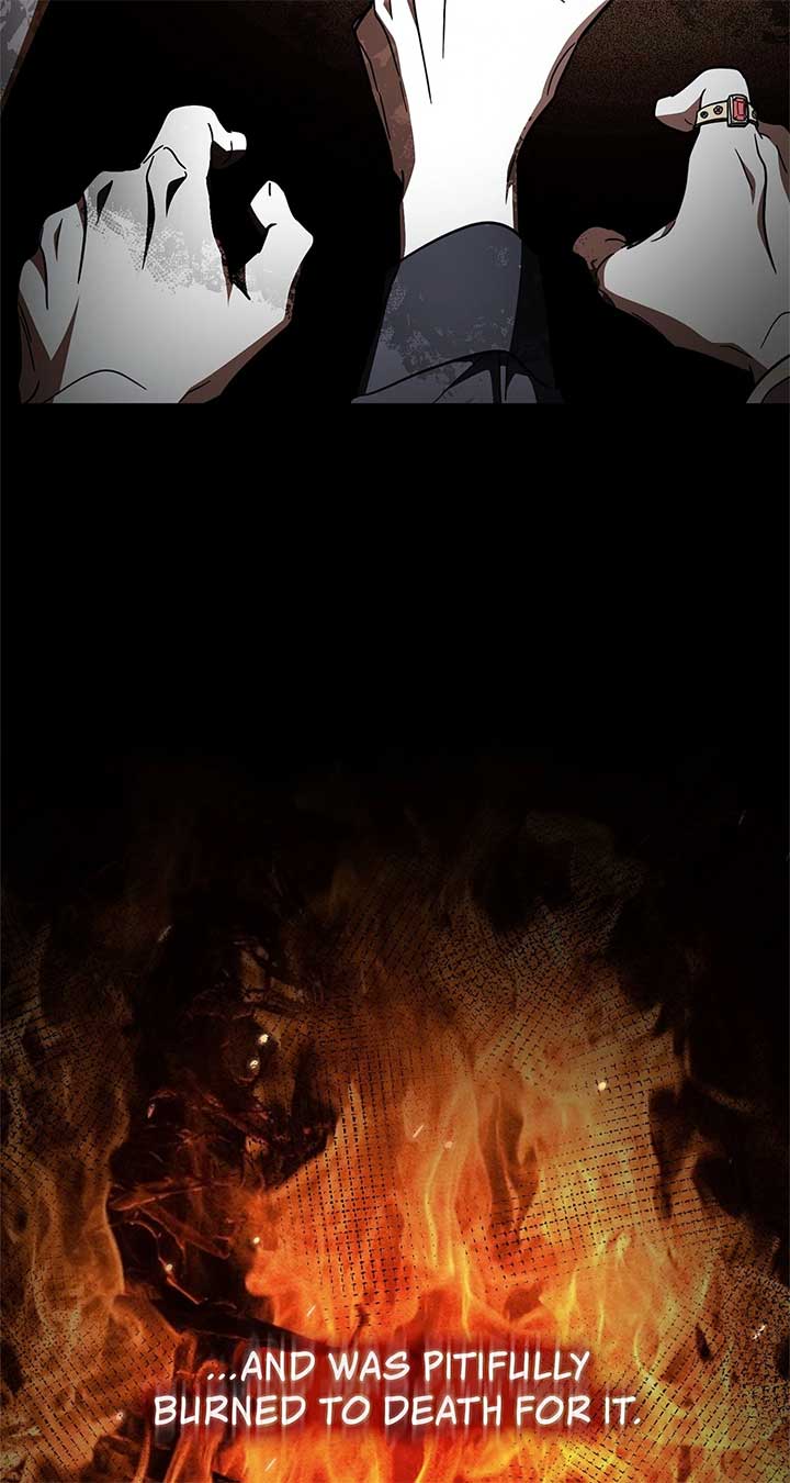 The Beloved Gardener of the World Tree Chapter 1 page 47