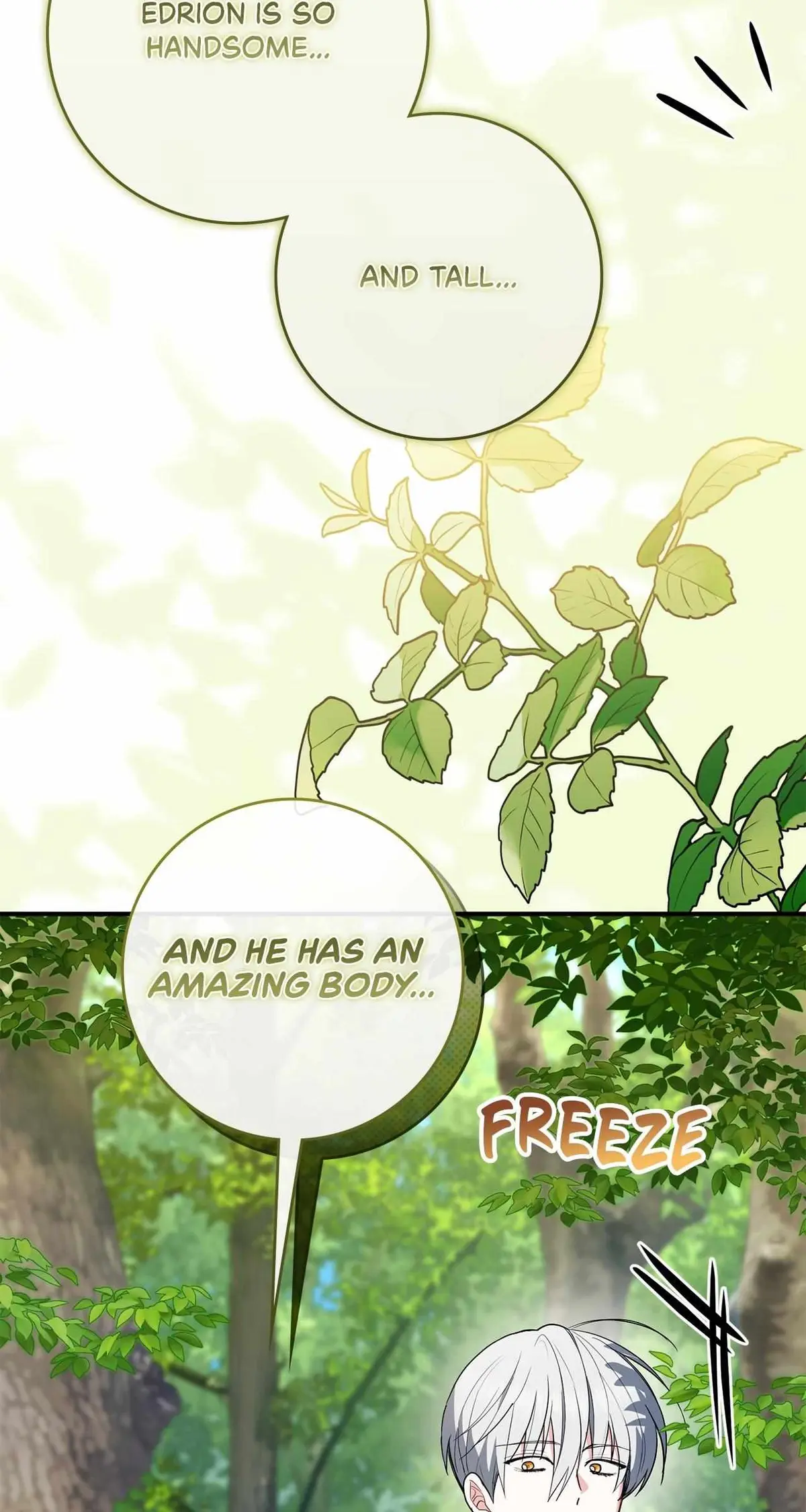 The Beloved Gardener of the World Tree Chapter 35 page 77