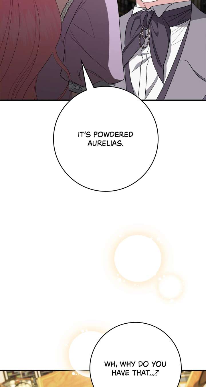 The Beloved Gardener of the World Tree Chapter 11 page 99
