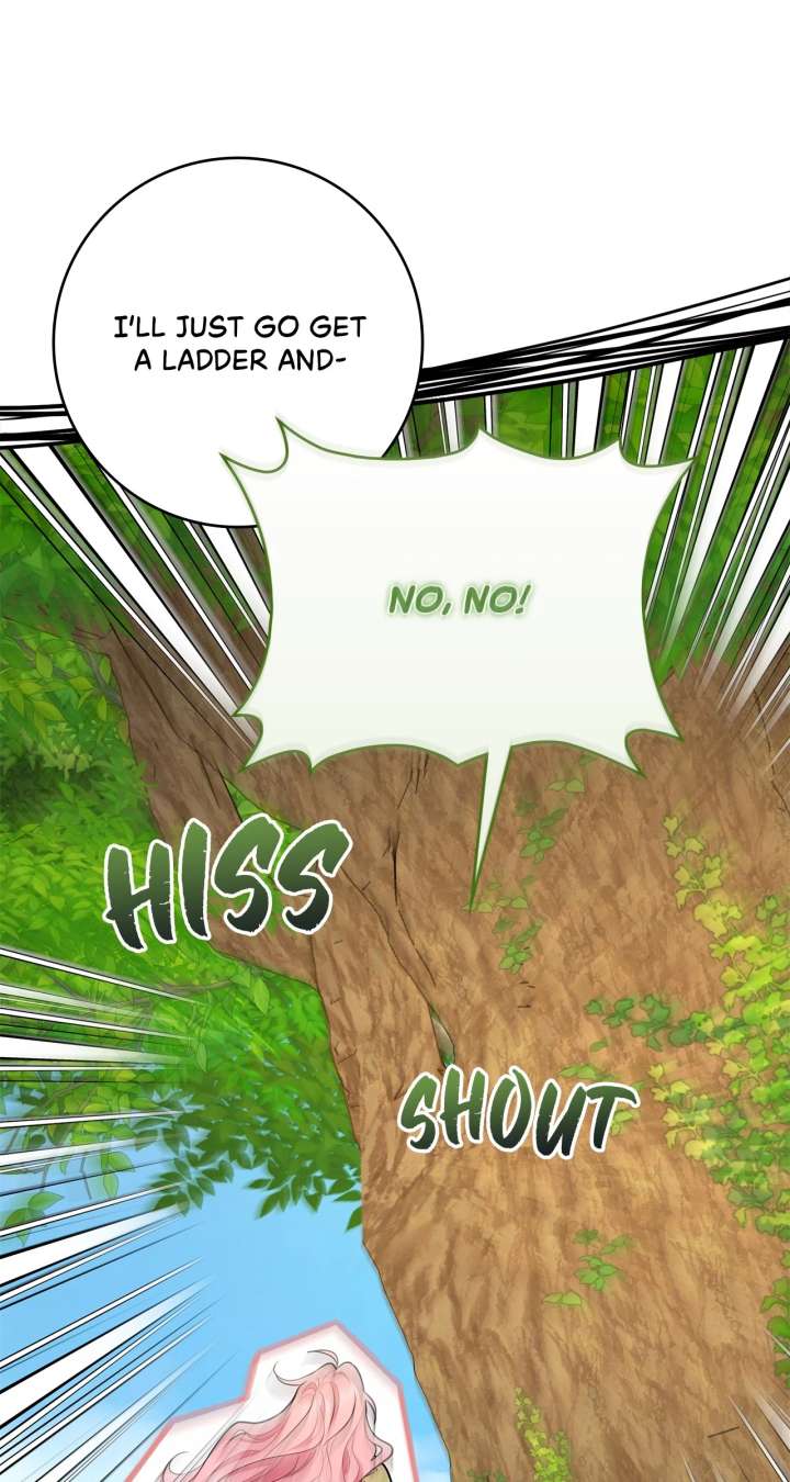 The Beloved Gardener of the World Tree Chapter 23 page 62