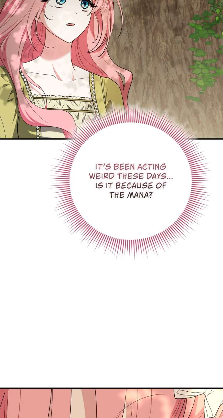 The Beloved Gardener of the World Tree Chapter 23 page 93