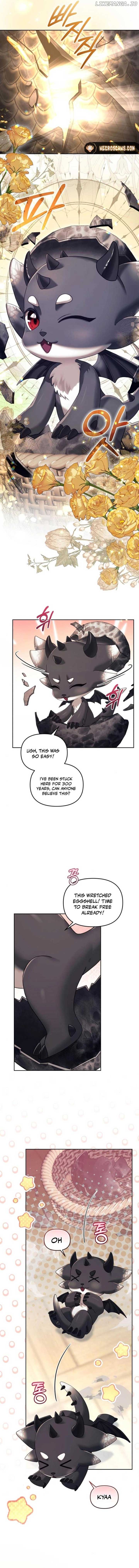 The Acting Empress Still Spends the First Night Chapter 28 page 11