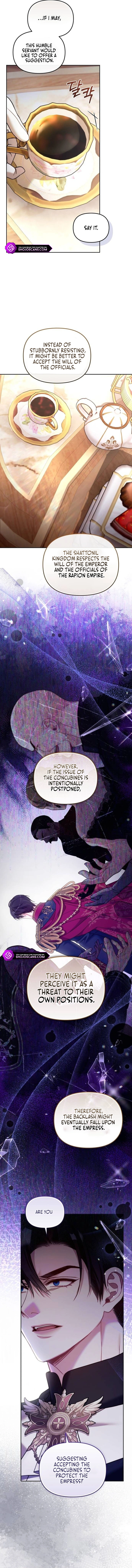 The Acting Empress Still Spends the First Night Chapter 9 page 12