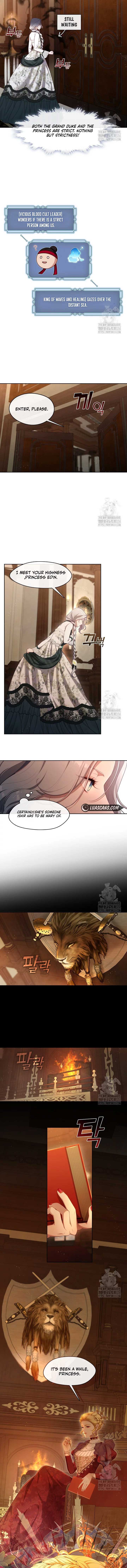 The S-Class Lady Chapter 27 page 5