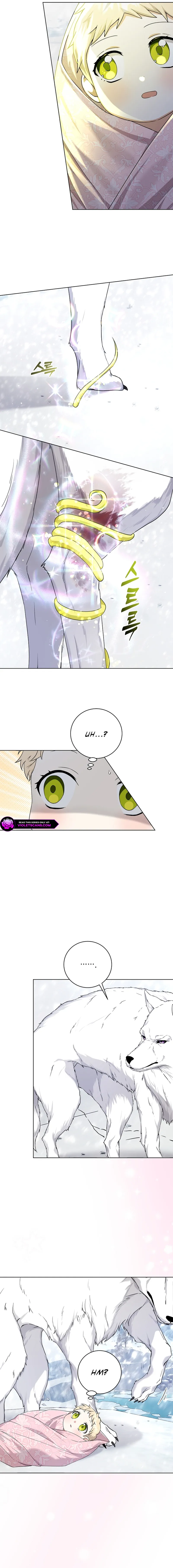 I Opened an Illegal Werebeast Hospital Chapter 2 page 5
