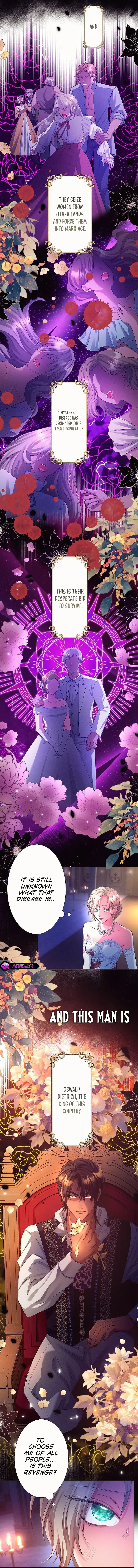 Onna no Inai Kuni ni Sarawareta Koujo Chapter 2 page 4