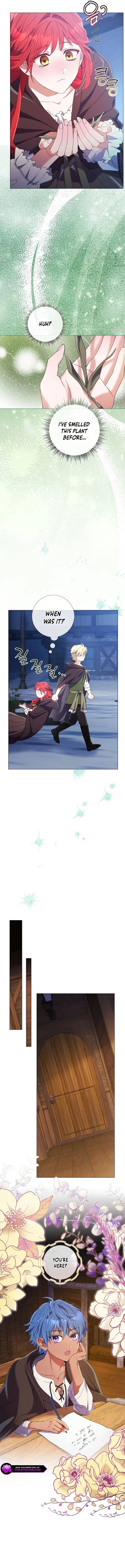 Divorcing the Emperor Chapter 45 page 9