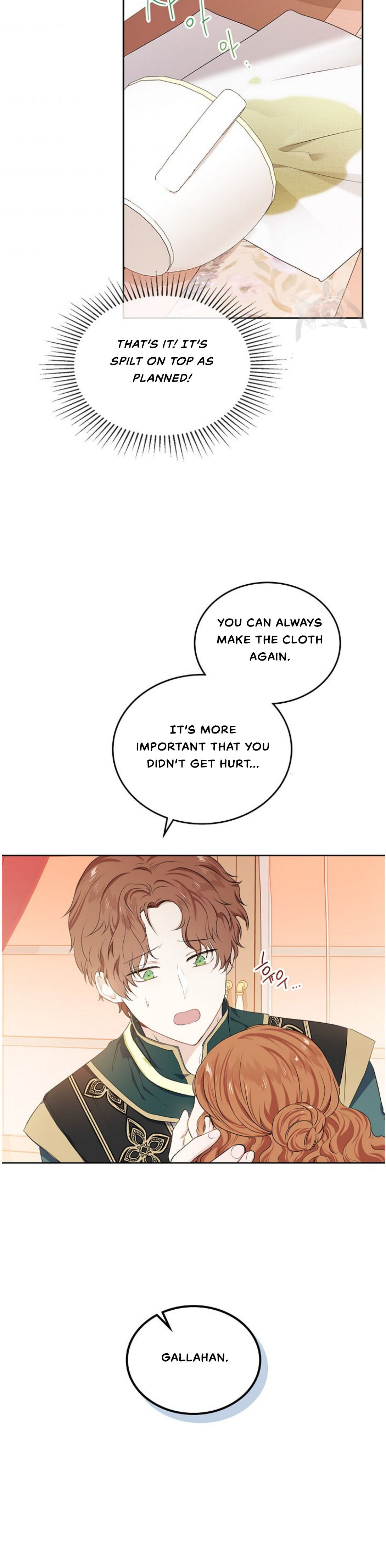 I Shall Master This Family Chapter 19 page 17