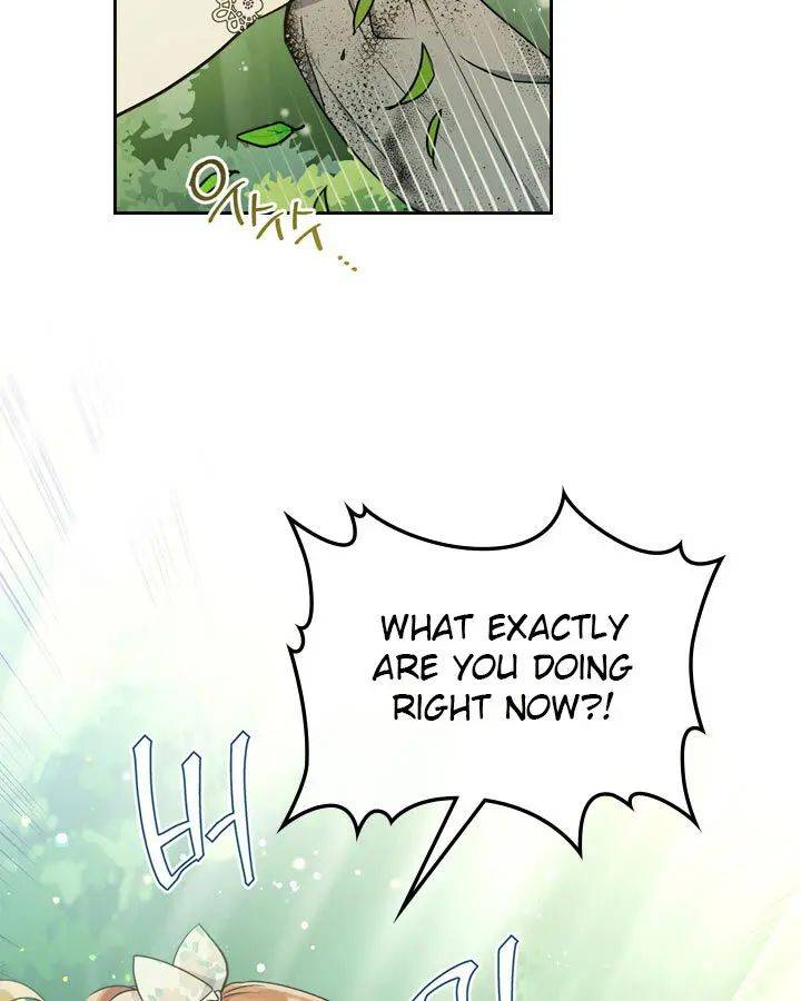 I Shall Master This Family Chapter 25 page 71