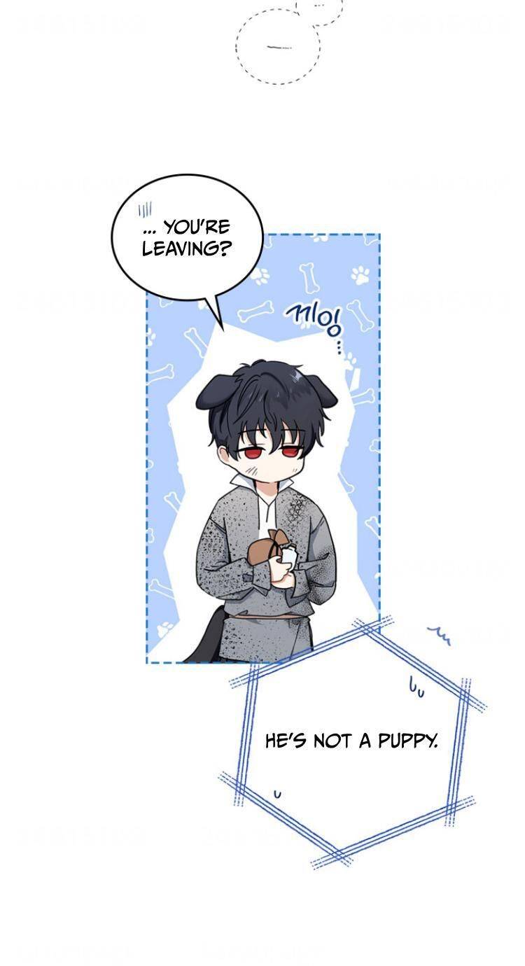 I Shall Master This Family Chapter 26 page 62