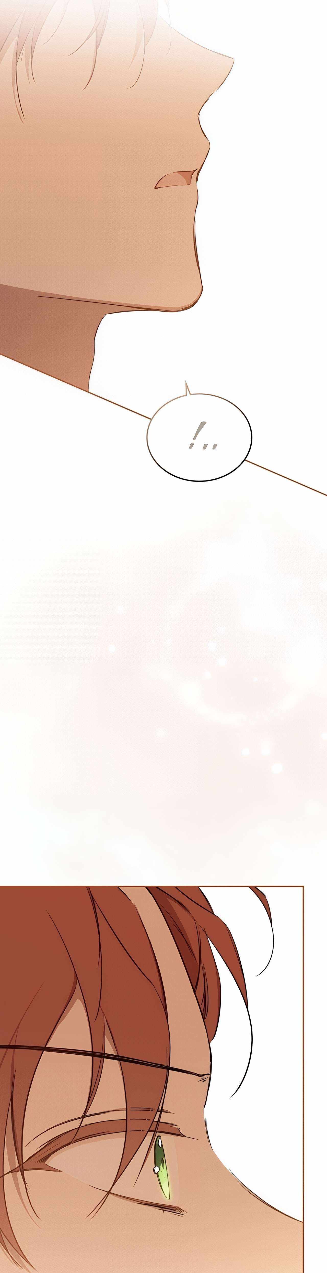 I Shall Master This Family Chapter 158 page 22