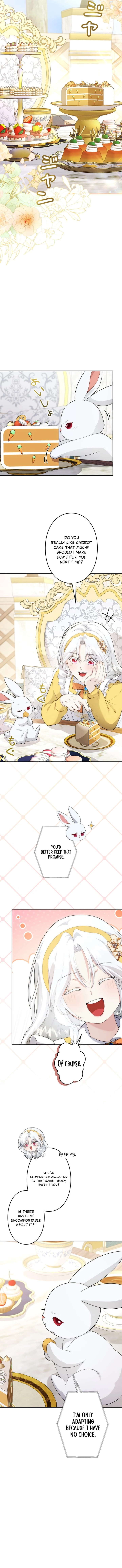 Setting Reset as the Duke's Daughter Chapter 12 page 3