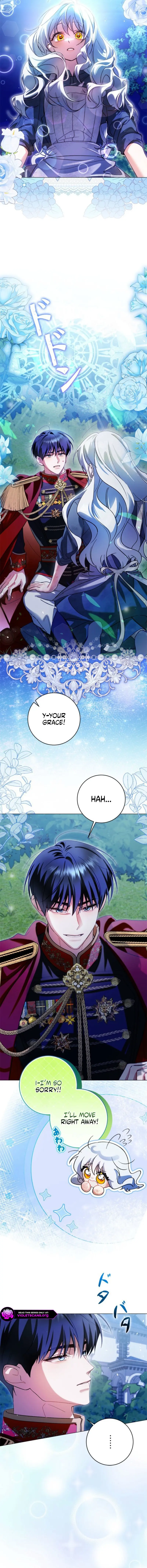 Lady Cinderella Chapter 3 page 17