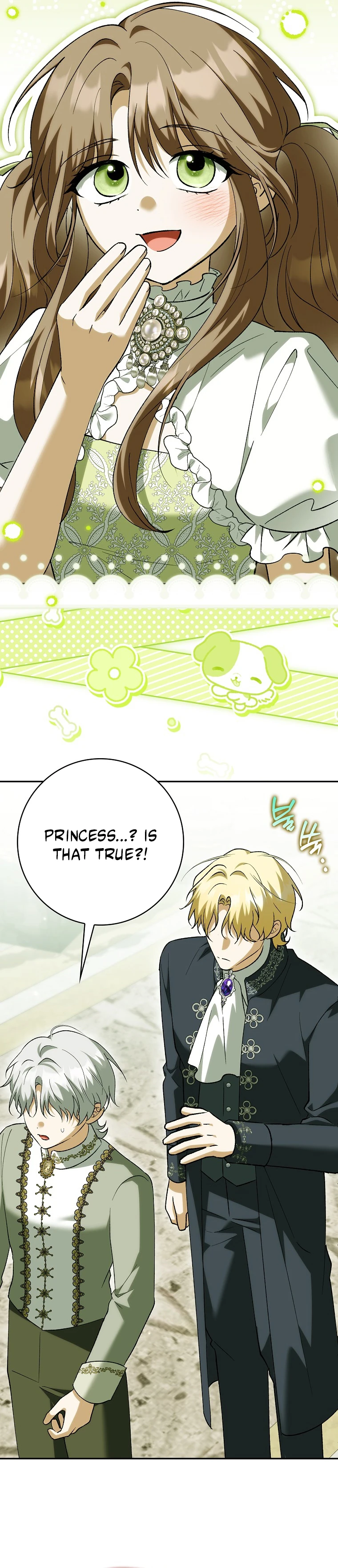 The White Tiger Princess Is Safe Chapter 39 page 9