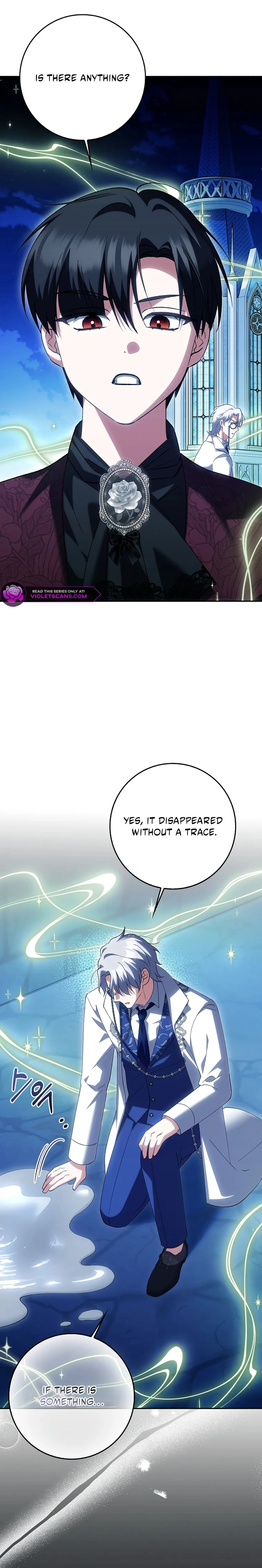 The White Tiger Princess Is Safe Chapter 25 page 27