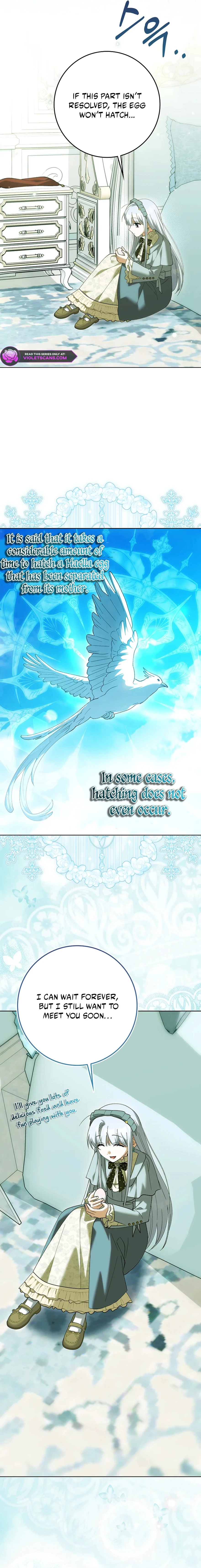 The White Tiger Princess Is Safe Chapter 27 page 17