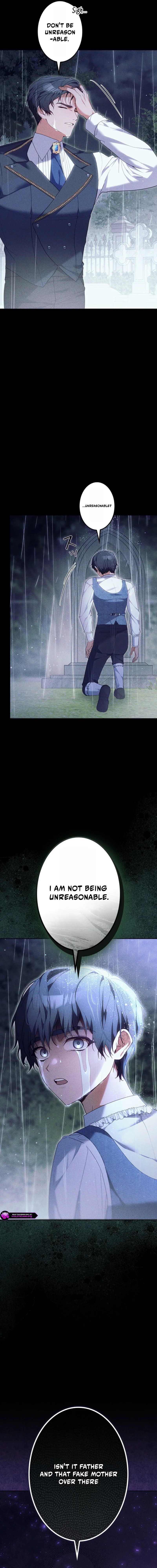The Despised Stepmother Begins Her Second Life Chapter 5 page 17