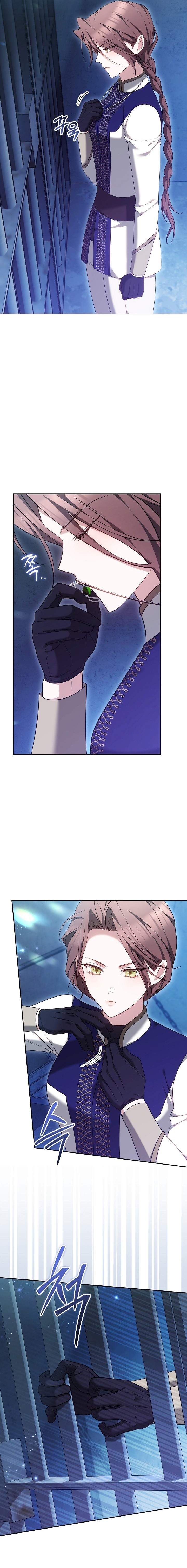 Why the Villainess Wields the Sword Chapter 74 page 9