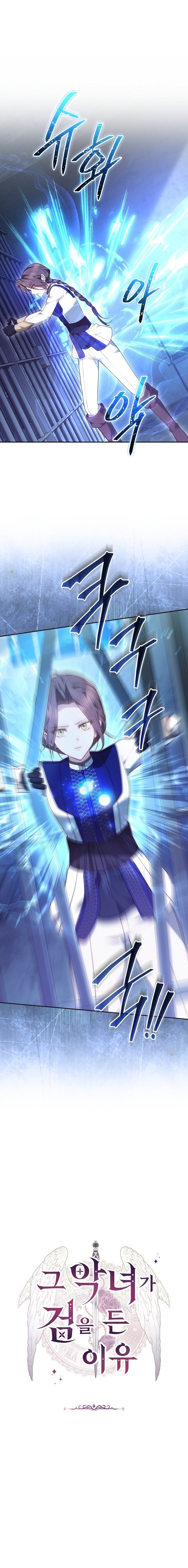 Why the Villainess Wields the Sword Chapter 74 page 10
