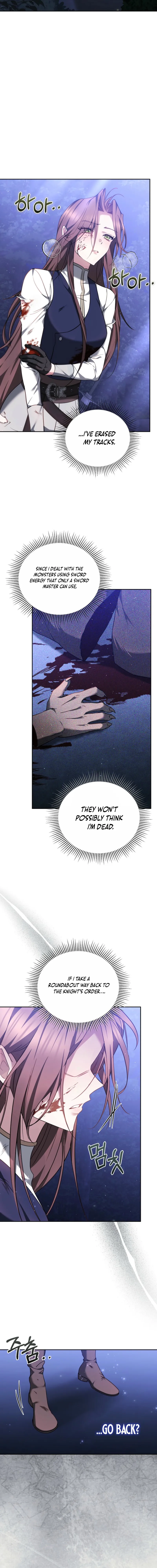 Why the Villainess Wields the Sword Chapter 10 page 12
