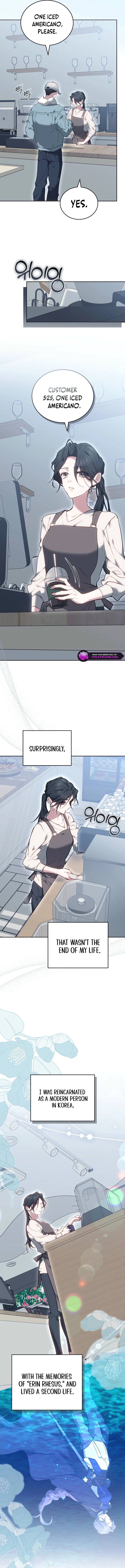 Why the Villainess Wields the Sword Chapter 1 page 13