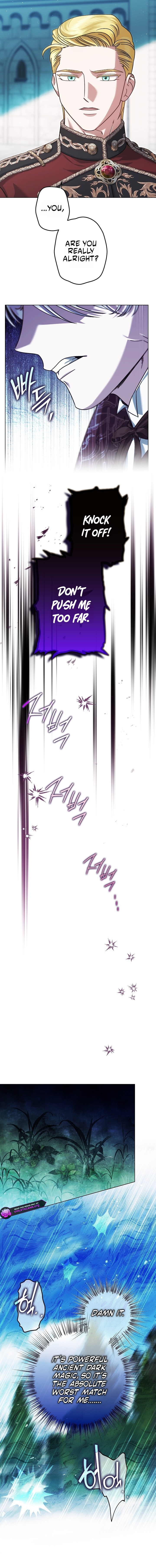 Youngest Sister-in-Law in a Tragic Reverse Harem Chapter 67 page 6
