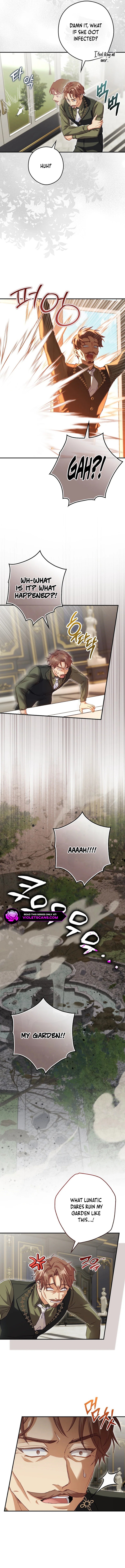 Cinderella's Pocket-Sized Protector Chapter 2 page 13